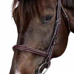 Dyon - Bridon New English Collection Marron Best