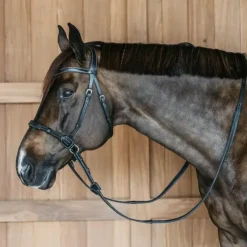 Dyon - Bridon sans mors Working by Dy'on Noir Best