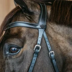 Dyon - Bridon sans mors Working by Dy'on Noir Best