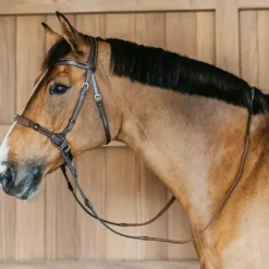 Sale Dyon - Bridon sans mors Working by Dy'on Havane