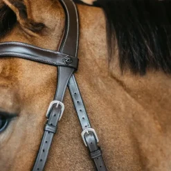 Sale Dyon - Bridon sans mors Working by Dy'on Havane