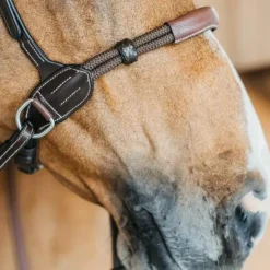 Sale Dyon - Bridon sans mors Working by Dy'on Havane