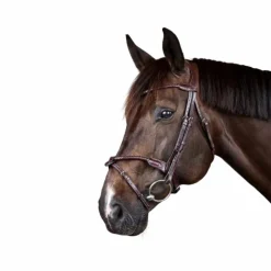 Dyon - Bridon tressé avec noseband amovible New English Collection Marron Online