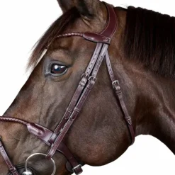 Dyon - Bridon tressé avec noseband amovible New English Collection Marron Online