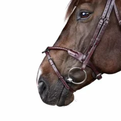 Dyon - Bridon tressé avec noseband amovible New English Collection Marron Online