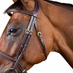 Dyon - Bridon tressé Dy'on Collection Marron Clearance