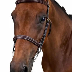 Dyon - Bridon tressé Dy'on Collection Marron Clearance