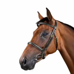 Dyon - Bridon tressé Dy'on Collection Noir Discount