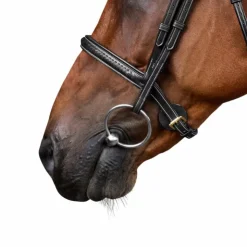 Dyon - Bridon tressé Dy'on Collection Noir Discount