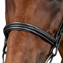 Dyon - Bridon tressé Dy'on Collection Noir Discount
