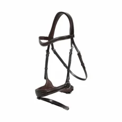 Dyon - Bridon Working Motion Working By Havane