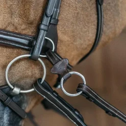 Dyon - Bridon Working Motion Working By Havane