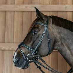 Dyon - Bridon Working Motion Working By Noir Outlet