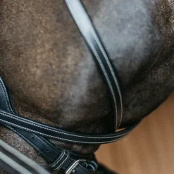 Dyon - Bridon Working Motion Working By Noir Outlet