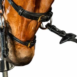 Dyon - Bridon X-Fit D Collection Noir Clearance