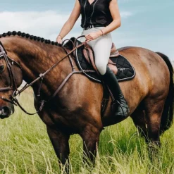 Dyon - Ceinture D Classique Noir New