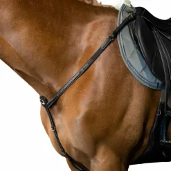 Dyon - Collier de chasse D Collection Noir Outlet