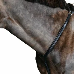 Dyon - Collier de chasse pont tressé New English cuir Noir New