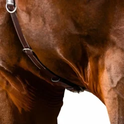 Dyon - Collier de chasse US Collection brun Marron New