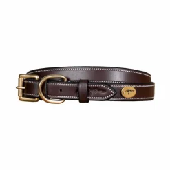 Dyon - Collier pour chien cuir Plat brun Marron Hot