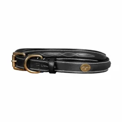 Dyon - Collier pour chien Fancy Noir Online