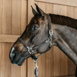 Dyon - Licol Tressé Working By Dy'on Marron Best