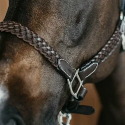 Dyon - Licol Tressé Working By Dy'on Marron Best