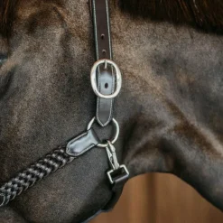 Dyon - Licol Tressé Working By Dy'on Marron Best