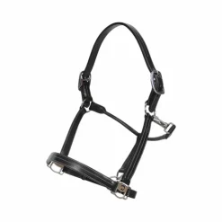 Hot Dyon - Licol US Working by Dy'on collection Noir