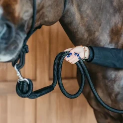 Dyon - Longe mousqueton amovible Working By Noir Online