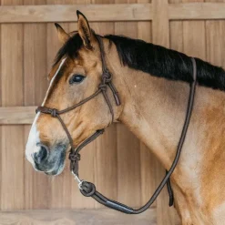 New Dyon - Longe mousqueton amovible Working By Marron