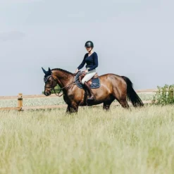 Hot Dyon - Mini-chaps Classic Confort brun Marron