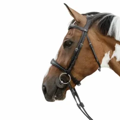 Best Dyon - Muserolle anatomique sans flash English Collection Noir