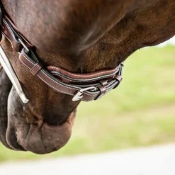 Dyon - Muserolle large Hunter fermeture pull-back US Collection Marron Clearance