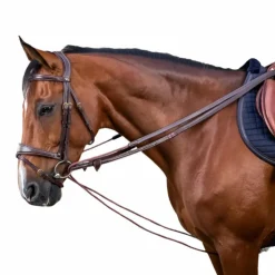 New Dyon - Rênes allemandes nylon et cuir 5/8 D Collection brun Marron