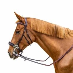 Dyon - Rênes caoutchouc 5/8 avec arrêtoirs et mousqueton Working brun Marron Outlet