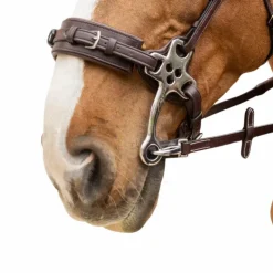 Dyon - Rênes caoutchouc 5/8 avec arrêtoirs et mousqueton Working brun Marron Outlet