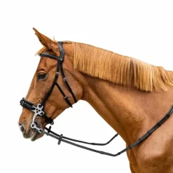 Dyon - Rênes caoutchouc 5/8 avec arrêtoirs et mousqueton Working Noir Hot