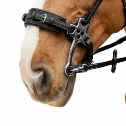 Dyon - Rênes caoutchouc 5/8 avec arrêtoirs et mousqueton Working Noir Hot