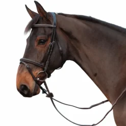 Dyon - Rênes en cuir à poignées Collection Working by Dy'on Marron New