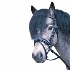 New Eden by Pénélope - Bridon Eden avec rênes Noir