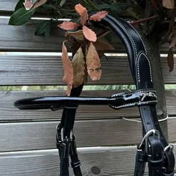 New Eden by Pénélope - Bridon Eden avec rênes Noir