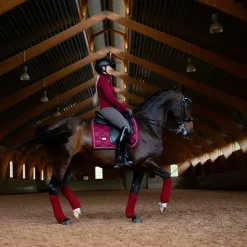 Equestrian Stockholm - Bandes de polo (x4) Bordeaux