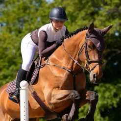 Outlet Equestrian Stockholm - Bonnet pour chevaux Moonless Night marron/ Violet