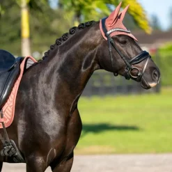 Discount Equestrian Stockholm - Bonnet pour chevaux Modern Coral Orange