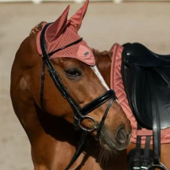 Discount Equestrian Stockholm - Bonnet pour chevaux Modern Coral Orange
