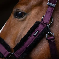 Equestrian Stockholm - Licol mouton et longe noir Black Raven Outlet