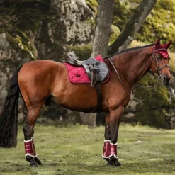 Equestrian Stockholm - Tapis de selle Bordeaux Outlet