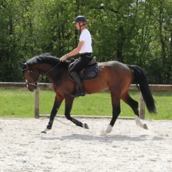 Equiline - Bonnet Kim Noir Clearance