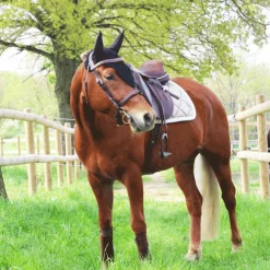 Best Equiline - Bonnet long pour chevaux Noir